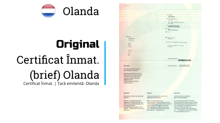 Olanda | Certificat inmatriculare | NL