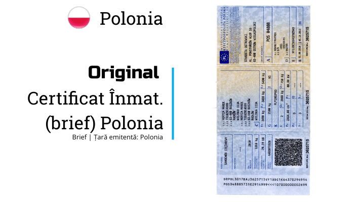 Polonia | Certificat inmatriculare | PL